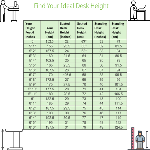 Core Electric Single Motor Height Adjustable Sit Stand Desk 1200 x 800 Canadian Oak Top and Black frame 5 Year Warranty Additional Image 7